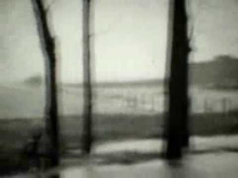 Watersnood te Waalwijk in 1953