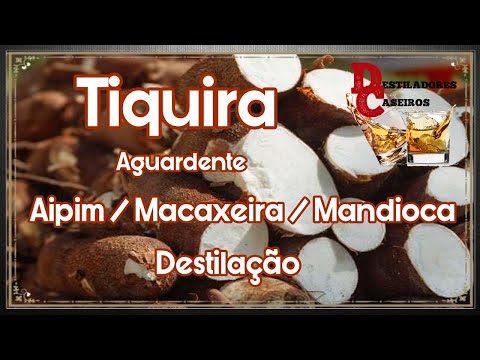 Tiquira Aguadente de Aipim   Destilação