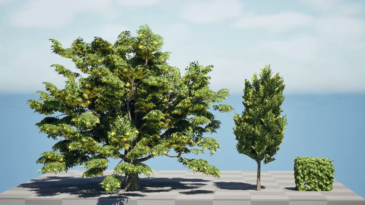 Cole&ccedil;&atilde;o Hedgerow Hornbeam do Reino Unido Modelo 3D