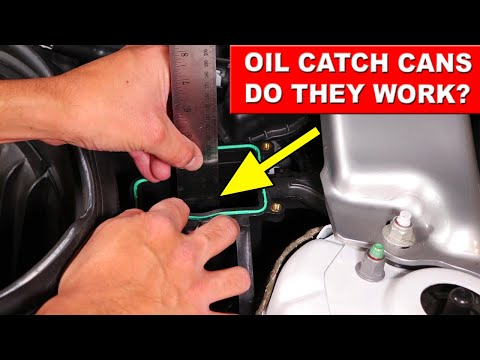 Mustang Oil Separator IS IT WORTH IT? (Ford Performance Catch Cans)