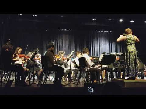 FMS Orchestra 2018