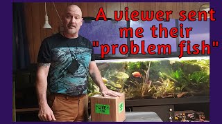 Unboxing A Fish From A Viewer