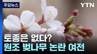 벚꽃축제는 일본의 유산