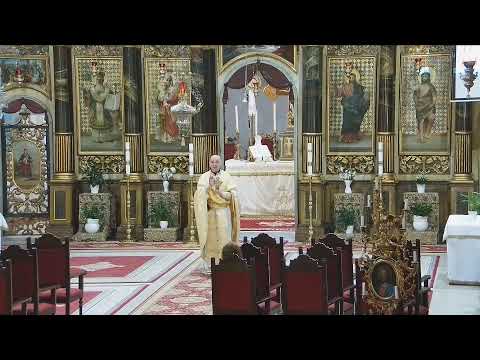 Episcopia Greco-Catolică de Oradea Live Stream