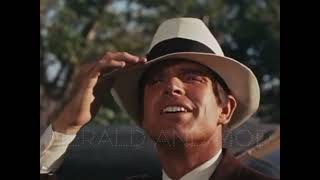 ‘Gimme Danger’ • The Stooges • 1973 •