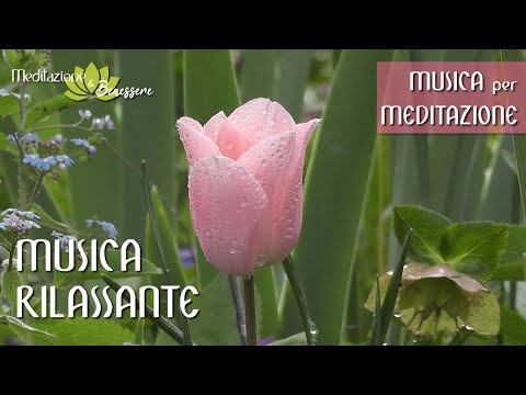 Musica per Meditazione || Lascia andare Rabbia, Gelosia, Ansia