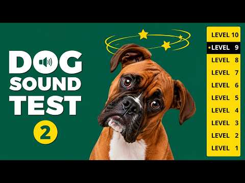 DOG SOUND TEST 2 🐶 Try All 10 Levels &amp; Test Your Dog!