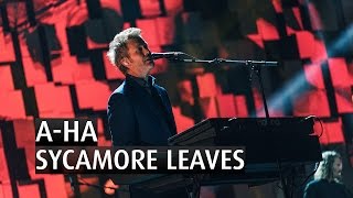 A-HA - SYCAMORE LEAVES - The 2015 Nobel Peace Prize Concert