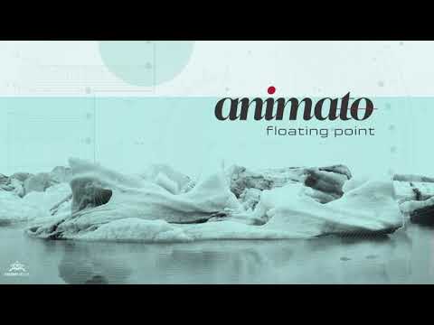 Animato - Floating Point ( Original Mix )