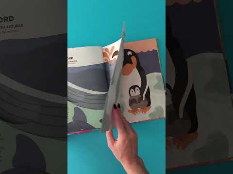 Vimeo