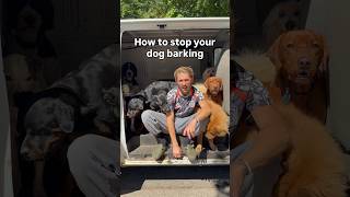 HOW TO: Stop Barking 🗣️