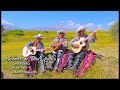 Los Jaraneros De Totora Livitaca