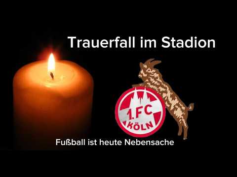 1. FC Köln spielt 2:2 gegen Hoffenheim – Punktgewinn an einem stillen Spieltag | Reaction