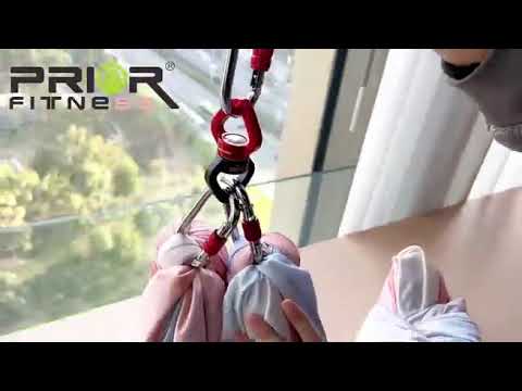 Prior Fitness One point aerial hammock