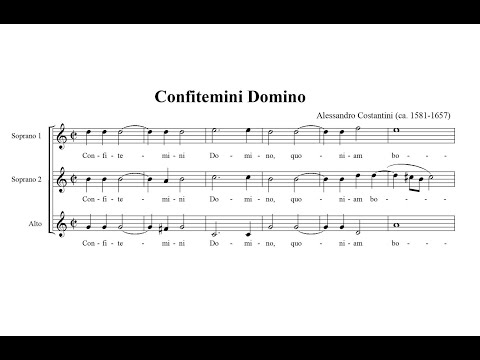 Video thumbnail for Confitemini Domino