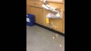 Pop a ballon Rube Goldberg machine