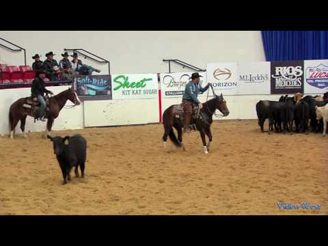 Ichis My Choice & Grant Setnicka - 2016 NCHA World Finals - Score 231