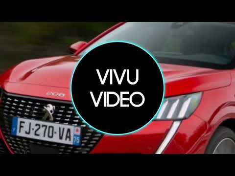 BiBi - Shot de dragoste(remix music)