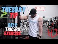 The Best Triceps Exercise | Tuesday Tip | Hunter Labrada