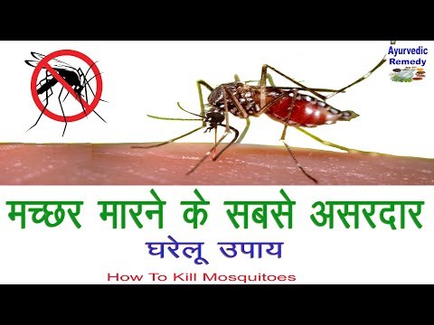 मच्छर मारने के घरेलू उपाय | how to kill mosquitoes | mosquito control | mosquitos | hindi Video