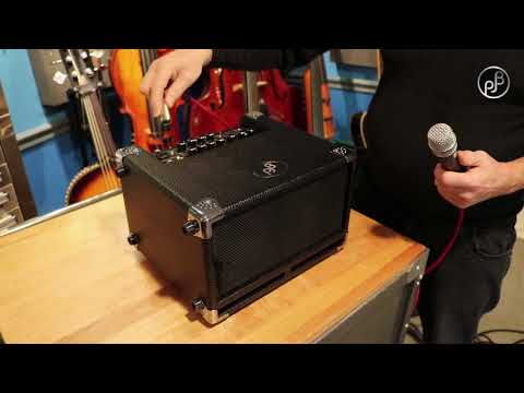 CHILL WITH PHIL: The PJB Bass Cub (BG-100)