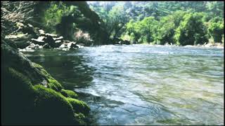 teena marie ⋆ batucadia suite ✦ slowed ⋆ reverb