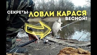 Когда начинают ловить карася после зимы
