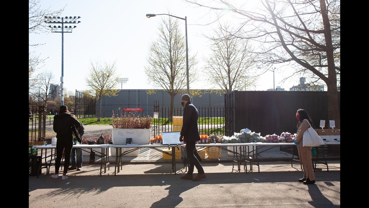 The State of NYC Farmer's Markets with Liz Carollo - YouTube