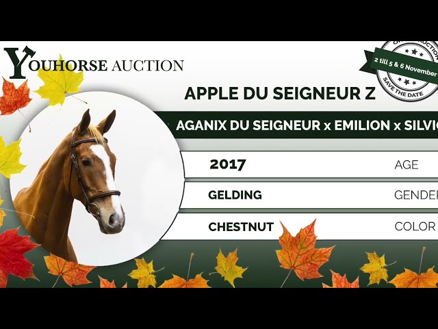 Apple du Seigneur Z showvideo