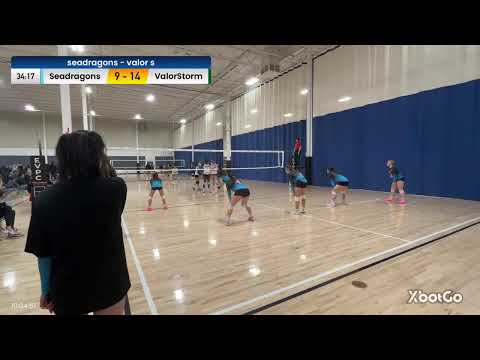 2026-02-28 - U14F Volleyball Seadragons Blue