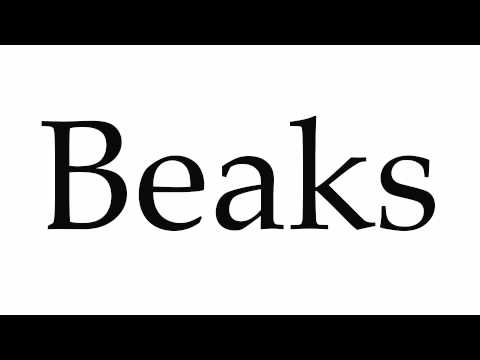 How to Pronounce Beaks