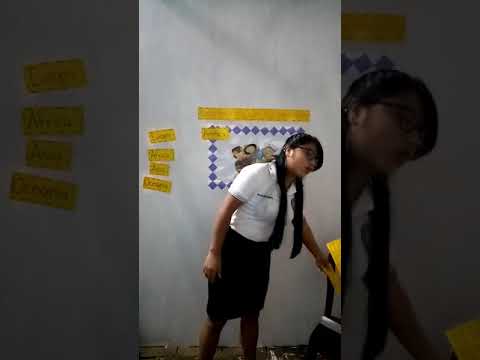 Características de los continentes