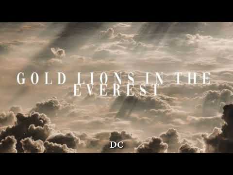 Martin Garrix, Sander Van Doorn vs Ravitez - Lions in the wild vs Everest vs Gold Skies(DC mashup)