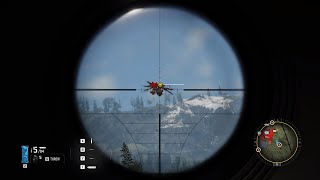 Online Scam Base Mission
