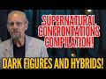 Supernatural Stories Black Suit Hellhound And Nord Hybrid