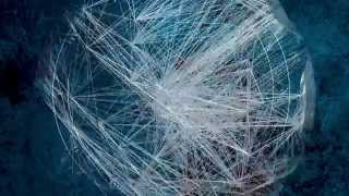 Ocoeur - A Parallel Life - Teaser