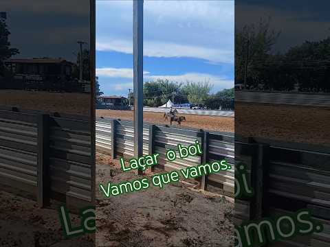 hoje fomos ver uma prova de laço na arena da exposição. Apui Amazonas!