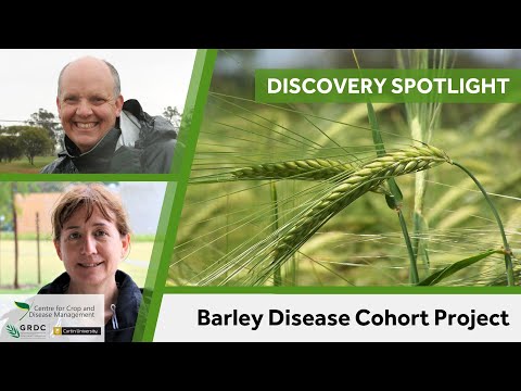 Barley Disease Cohort Project reveals fungicide resistance results with Linda Thomson and Mark Gibberd - CCDM