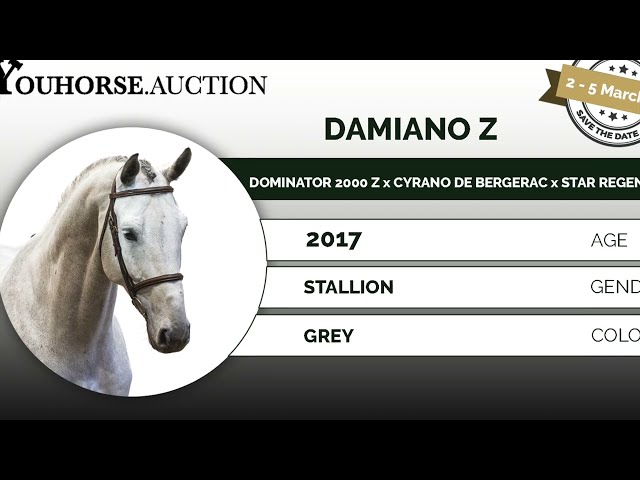 Youhorse.auction | Damiano Z