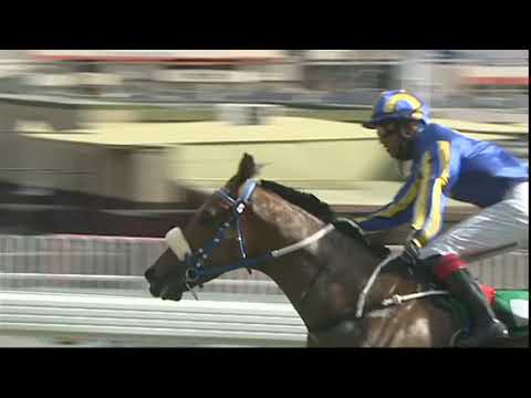 FAITES VOS COURSES - 2nd Meeting - The Duchess Of York Cup 2020