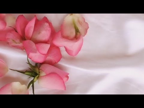 City Flowers #shorts #harmony