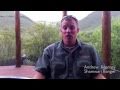 IShamwari Intro