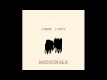 Timber Timbre - There is a Cure 