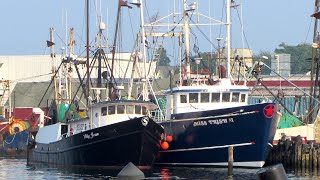 5 Napkin Video: Cape Ann Fisherman's Brew Lager - HHG #210