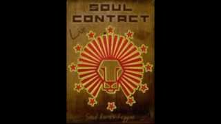 FLY AWAY by Soul Contact