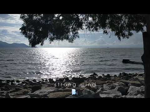 Come to the Beach With Me 🌊 - Robina Beach Butterworth Penang