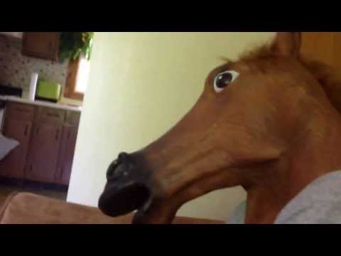 Punching a horse in the face.