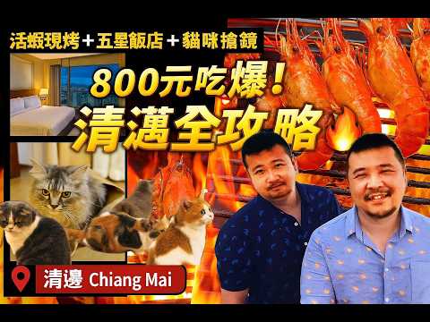 《清邁吃到飽VLOG》800元海鮮Buffet超狂體驗！活蝦現烤＋五星飯店開箱＋貓咪互動＋貴賓室全紀錄