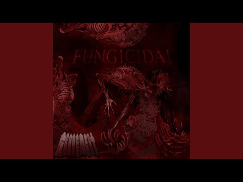 NIGHTMARE BLUNT ROTATION