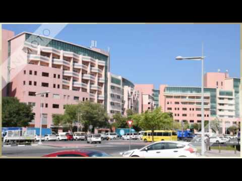 Spacious Studio for Rent in Discovery Garden